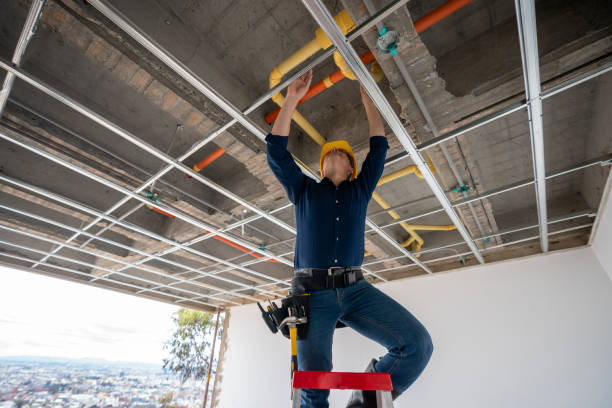 Best Clogged Drain Plumber  in Neillsville, WI