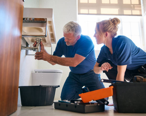 Best Local Plumber Services  in Neillsville, WI